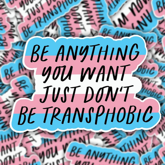 Don't be Transphobic Sticker